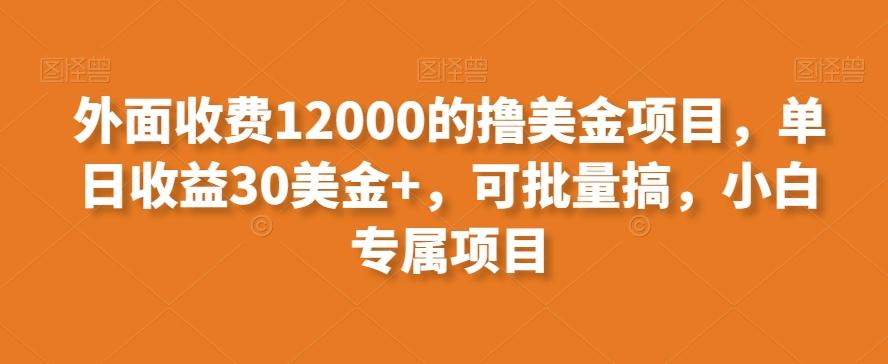 外面收费12000的撸美金项目，单日收益30美金+，可批量搞，小白专属项目-chywc