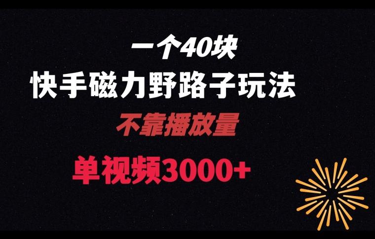 一个40块，快手联合美团磁力新玩法，无视机制野路子玩法，单视频收益4位数【揭秘】-chywc
