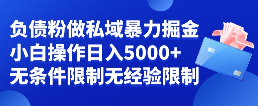负债粉私域暴力掘金，小白操作入5000，无经验限制，无条件限制【揭秘】-chywc