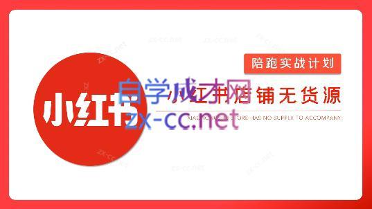 安琪·小红书店铺无货源-chywc