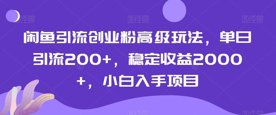 闲鱼引流创业粉高级玩法，单日引流200+，稳定收益2000+，小白入手项目-chywc