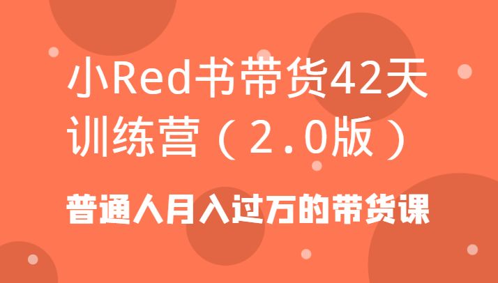 小Red书带货42天训练营(2.0版)普通人月入过万的带货课-chywc
