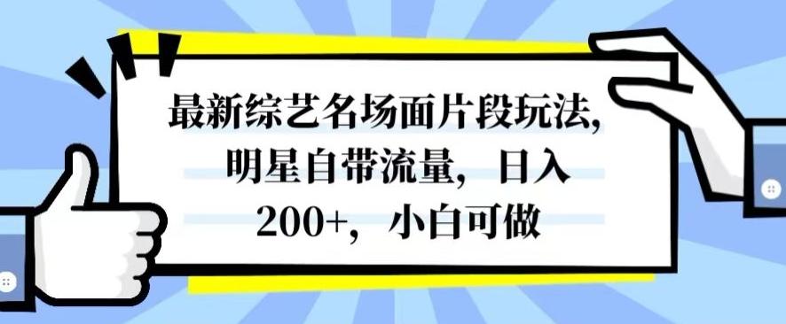 最新综艺名场面片段玩法，明星自带流量，日入200+，小白可做【揭秘】-chywc