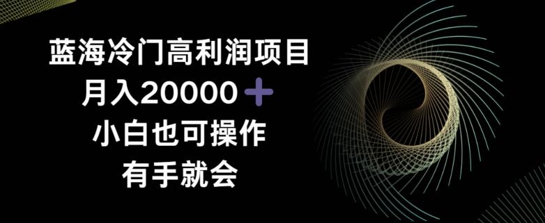 蓝海冷门高利润项目月入2000，小白也可操作有手就会-chywc
