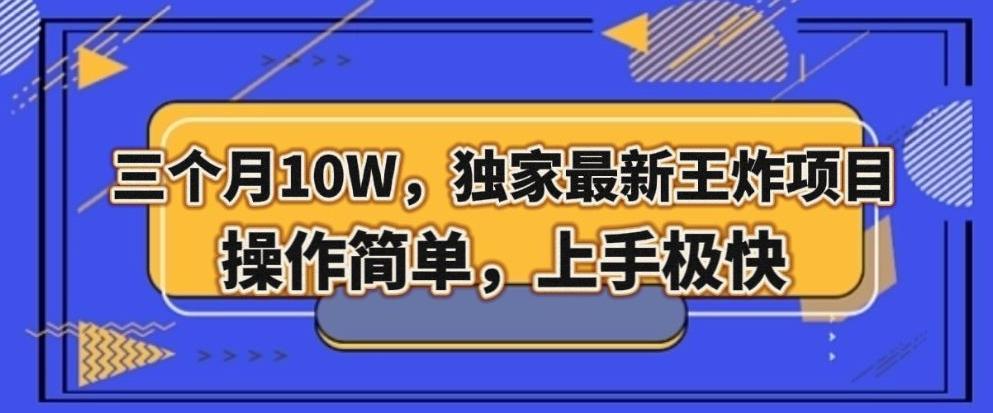 三个月10W，独家最新王炸项目！操作简单，上手极快【揭秘】-chywc