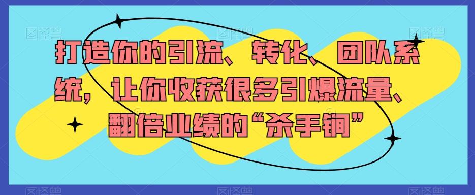 打造你的引流、转化、团队系统，让你收获很多引爆流量、翻倍业绩的“杀手锏”-chywc