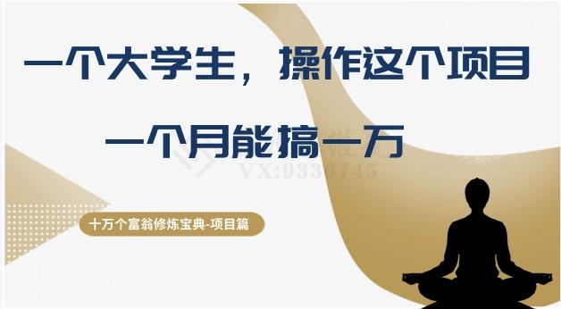 十万个富翁修炼宝典之4.一个大学生操作这个项目，一个月能搞一万-chywc