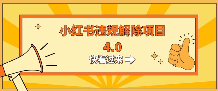 小红书违规掘金蓝海项目，日入800+（附带引流办法及解除办法）-chywc