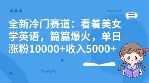全新冷门赛道：看着美女学英语，篇篇爆火，单日涨粉10000+收入5000+-chywc