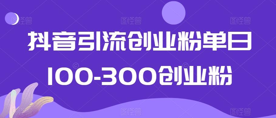 抖音引流创业粉单日100-300创业粉【揭秘】-chywc