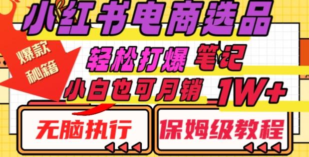 小红书电商爆款选品秘籍，帮你轻松打爆笔记，小白也可轻松月销10000+-chywc