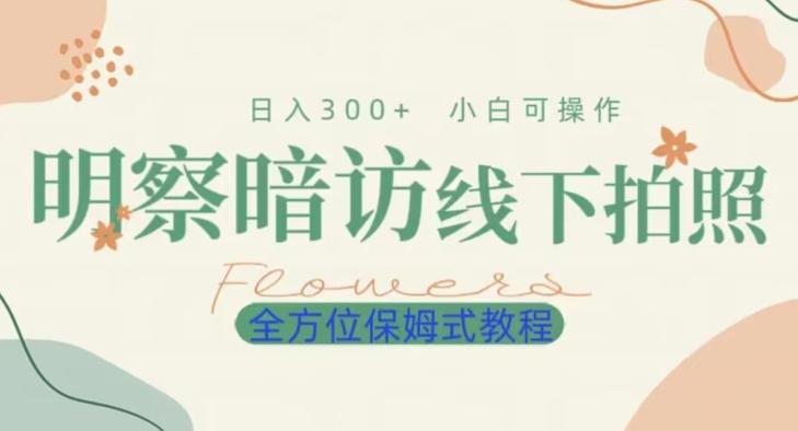 明拍暗拍项目0成本投入日入300+小白可操作保姆式全方位教程-chywc