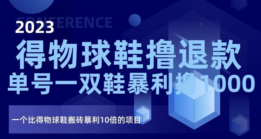 2023得物球鞋撸退款，单号一双鞋暴利撸1000，一个比得物球鞋搬砖暴利10倍的项目【揭秘】-chywc