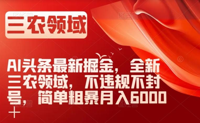 AI头条最新掘金，全新三农领域，不违规不封号，简单粗暴月入6000＋【揭秘】-chywc