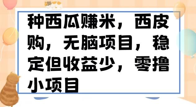 种西瓜赚米，西皮购稳定长久零撸小项目-chywc