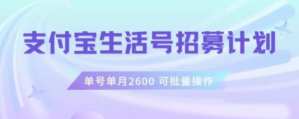 支付宝生活号作者招募计划，单号单月2600，可批量去做，工作室一人一个月轻松1w+【揭秘】-chywc