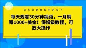 每天观看30分钟视频，一月躺赚1000+美金！保姆级教程，可放大操作【揭秘】-chywc