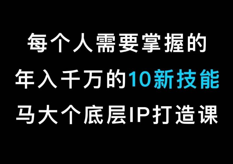 马大个的IP底层逻辑课，​每个人需要掌握的年入千万的10新技能，约会底层IP打造方法！-chywc