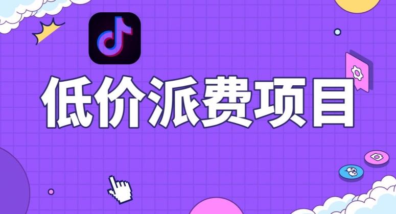 抖音低价派单项目，0门槛，日入1000+很轻松，小白可操作【揭秘】-chywc