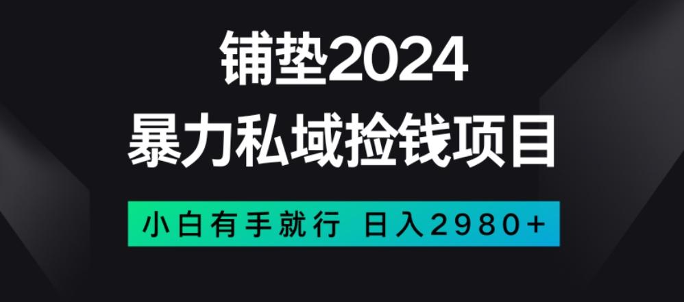 暴力私域捡钱项目，小白无脑操作，日入2980【揭秘】-chywc