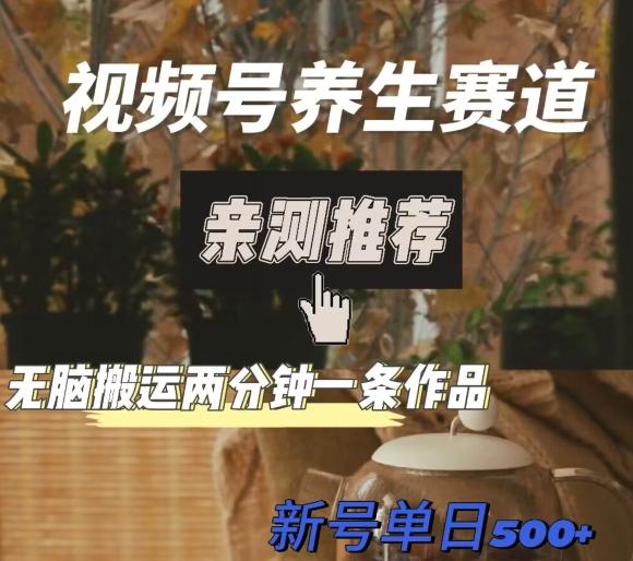 视频号养生赛道暴力掘金，无脑搬运，两分钟一条作品-新日单入500+-chywc