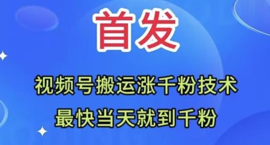全网首发：视频号无脑搬运涨千粉技术，最快当天到千粉【揭秘】-chywc