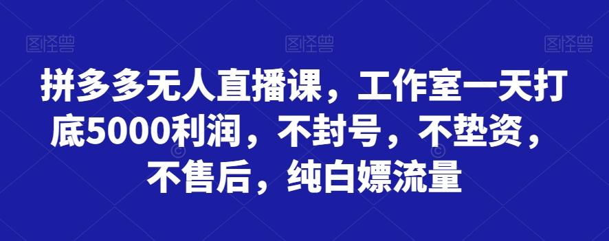 拼多多无人直播课，工作室一天打底5000利润，不封号，不垫资，不售后，纯白嫖流量-chywc