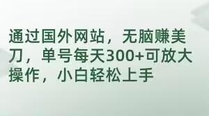 通过国外网站，无脑赚美刀，单号每天300+可放大操作，小白轻松上手【揭秘】-chywc