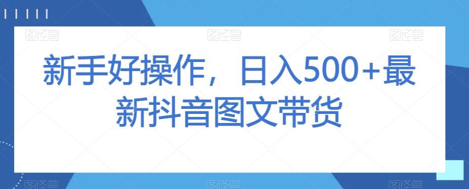 新手好操作，日入500+最新抖音图文带货【揭秘】-chywc