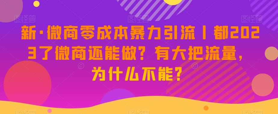 新·微商零成本暴力引流丨都2023了微商还能做？有大把流量，为什么不能？-chywc