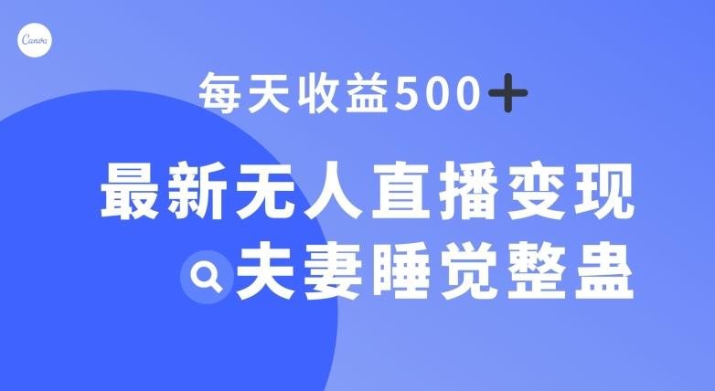 最新无人直播变现，夫妻睡觉整蛊，每天躺赚500+【揭秘】-chywc