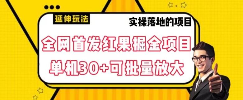 全网首发红果免费短剧掘金项目，单机30+可批量放大【揭秘】-chywc