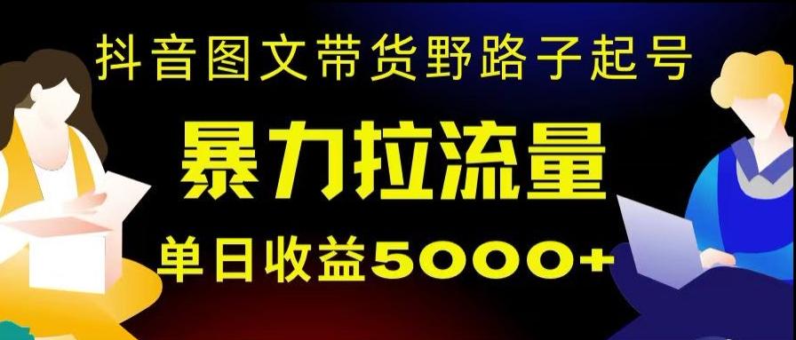 抖音图文带货暴力起号，单日收益5000+，野路子玩法，简单易上手，一部手机即可【揭秘】-chywc