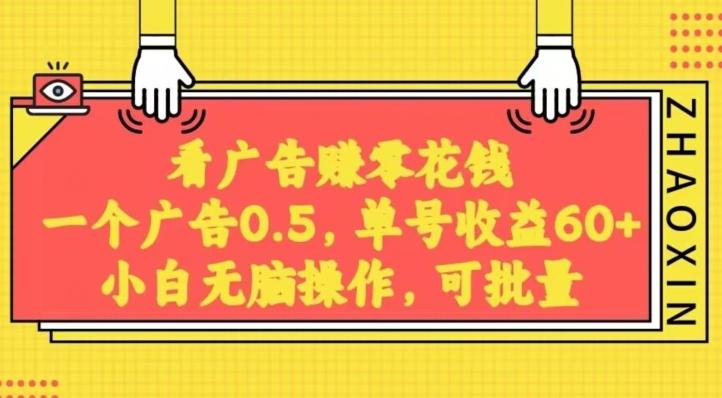无脑看广告获取收益，一条广告0.5，日稳定60-100+，可批量放大，超级稳定-chywc