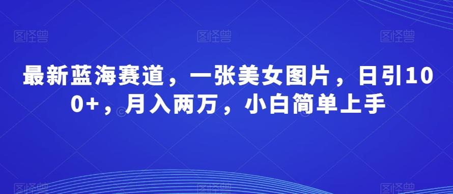 最新蓝海赛道，一张美女图片，日引100+，月入两万，小白简单上手-chywc
