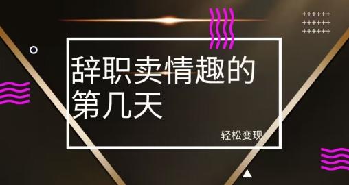 冷门赛道，辞职卖情趣的第几天，超暴力项目-chywc