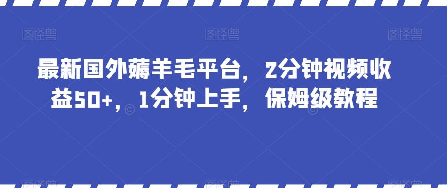 最新国外薅羊毛平台，2分钟视频收益50+，1分钟上手，保姆级教程【揭秘】-chywc