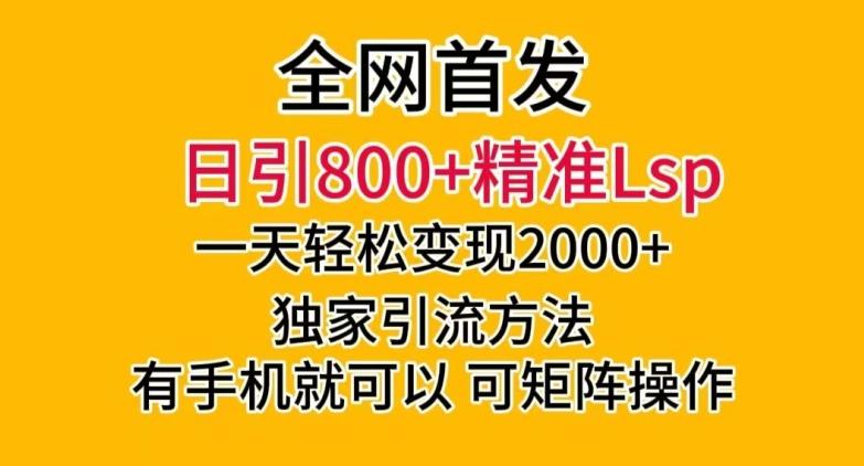 全网首发！日引800+精准老色批，一天变现2000+，独家引流方法，可矩阵操作【揭秘】-chywc