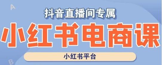 小红书电商高级运营课程，实操教学+案例分析-chywc