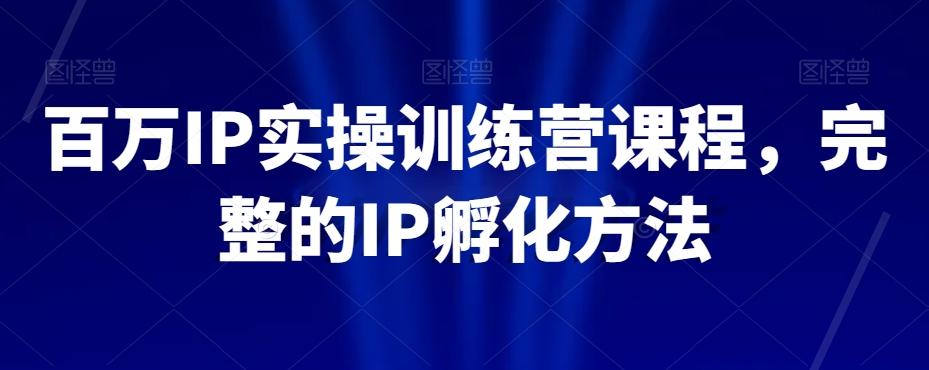 百万IP实操训练营课程，完整的IP孵化方法-chywc