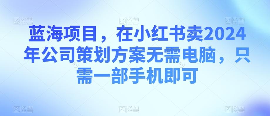 蓝海项目，在小红书卖2024年公司策划方案无需电脑，只需一部手机即可-chywc