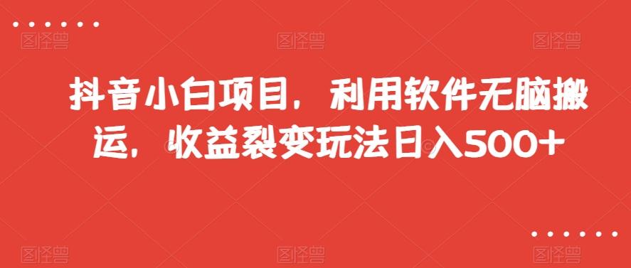 抖音小白项目，利用软件无脑搬运，收益裂变玩法日入500+【揭秘】-chywc