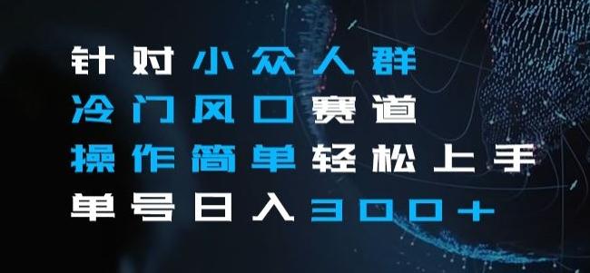 针对小众人群冷门风口赛道，操作简单轻松上手单号日入300+-chywc