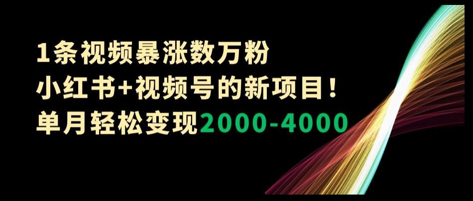 1条视频暴涨数万粉–小红书+视频号的新项目！单月轻松变现2000-4000【揭秘】-chywc