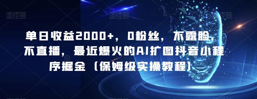 单日收益2000+，0粉丝，不露脸，不直播，最近爆火的AI扩图抖音小程序掘金（保姆级实操教程）-chywc