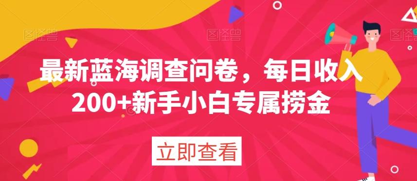 最新蓝海调查问卷，每日收入200+新手小白专属捞金-chywc