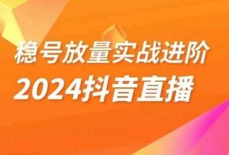 稳号放量实战进阶—2024抖音直播，直播间精细化运营的几大步骤-chywc