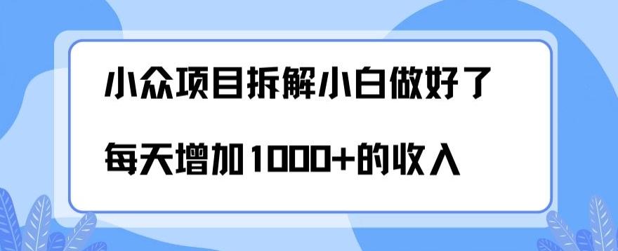 小众项目拆解，小白做好了每天可增加1000多的收入-chywc