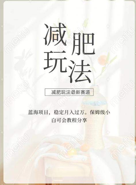 减肥流量主新玩法，轻松月入1W，可矩阵操作收入翻倍-chywc