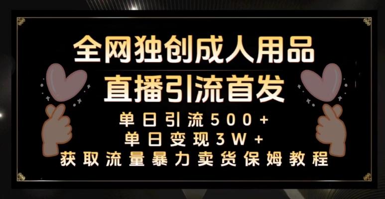 全网独创真人主播+无人直播单日引流500+，橙人用品暴力卖货单日变现3W+保姆似教学2.0【揭秘】-chywc